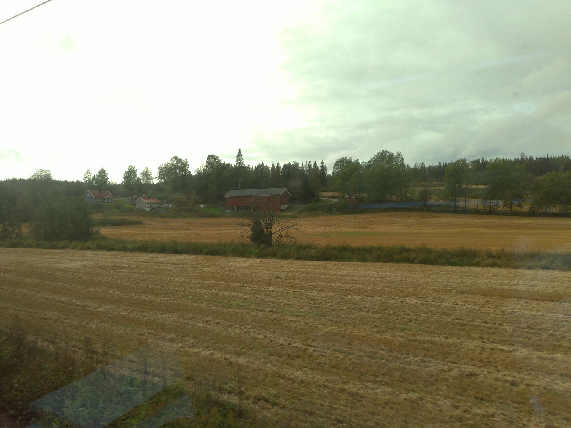 Viaggio in treno